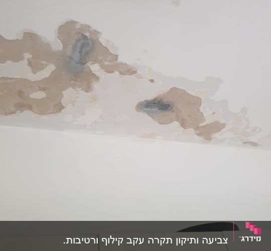כתמי רטיבות ועובש על תקרה לבנה